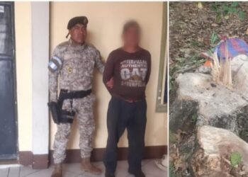 Diprona captura a una persona por tala ilegal de producto forestal