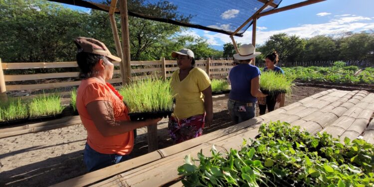 SESAN capacita a pobladores del nororiente en elaboración de platillos nutritivos