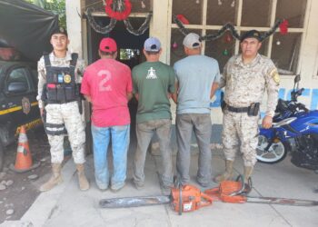 Diprona captura tres personas por tala ilegal en Suchitepéquez