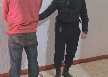 Capturan a dos persona por transportar producto forestal de forma ilegal