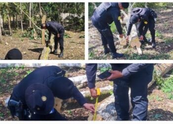 Capturan a 10 personas por usurpación y tala ilegal en área municipal