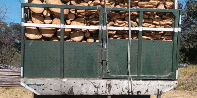 Capturan a persona por transportar de forma ilícita producto forestal