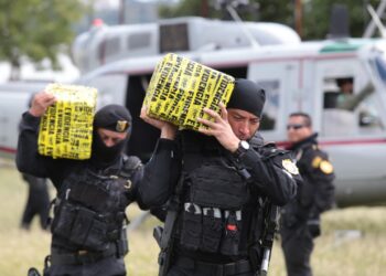 Operativos impactan a estructuras del crimen transnacional