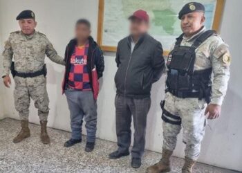 Capturan dos personas por transportar de forma ilícita producto forestal