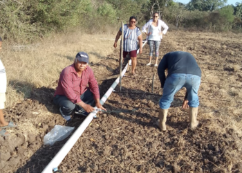Productores avanzan en la recuperación de sus sistemas de riego en todo el país