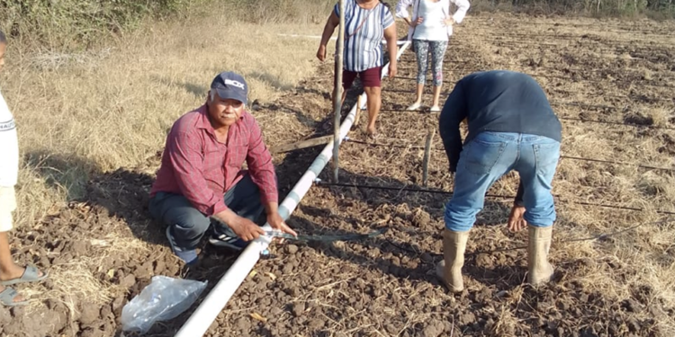 Productores avanzan en la recuperación de sus sistemas de riego en todo el país