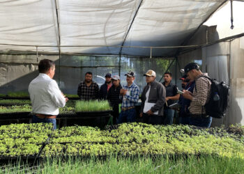 Continúan jornadas de capacitaciones para fortalecer la seguridad alimentaria