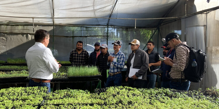 Continúan jornadas de capacitaciones para fortalecer la seguridad alimentaria