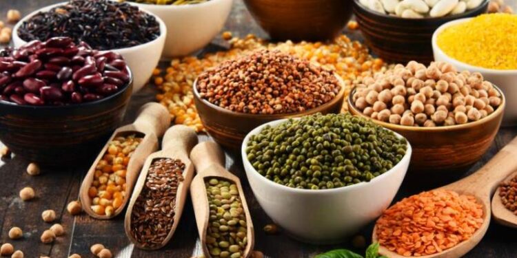 Legumbres como alimento fundamental de la Seguridad Alimentaria y Nutricional