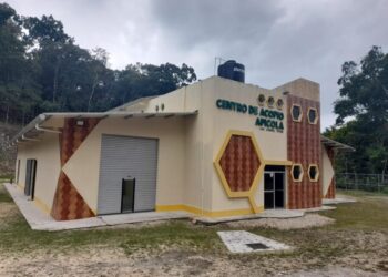 Proyecto apícola en Petén promueve las buenas prácticas ambientales