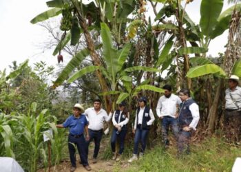 Ministerio de Ambiente verifica proyecto que se desarrolla en Quiché