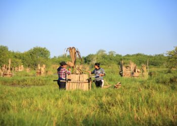 Pobladores restauran ecosistemas de manglares en Santa Rosa