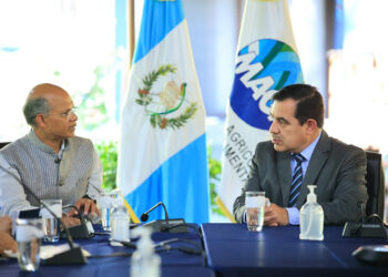 Guatemala busca incursionar en el cultivo de cereales de la India con alto rendimiento