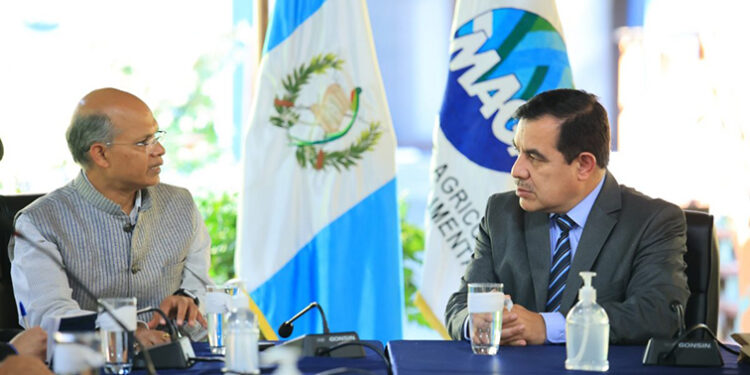 Guatemala busca incursionar en el cultivo de cereales de la India con alto rendimiento