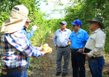Jutiapa busca mejorar la producción de Maracuyá