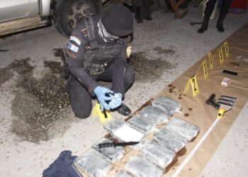 Detenido trasladaba once paquetes con cocaína en vehículo