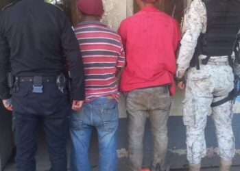 Diprona captura a personas por tala ilegal en Suchitepéquez