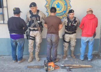 Aprehenden a tres personas por tala ilegal de producto forestal