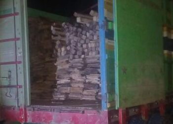 Capturan a dos personas por tala y transporte ilegal de producto forestal