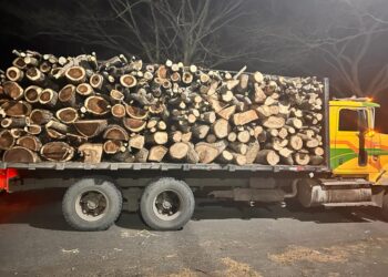 Diprona decomisa 32 metros cúbicos de producto forestal en Escuintla