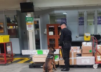 Decomisan cocaína en caja de encomiendas