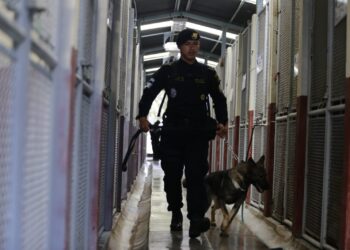 Perros K-9 reciben cuidados especiales en la ECEC