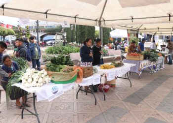 CODESAN de San Marcos realiza Día Orgánico para promover la alimentación saludable