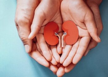 ¿Por qué la correcta alimentación es clave para tener riñones saludables?