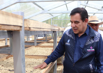 Productores de café reciben apoyo para mejorar su comercialización