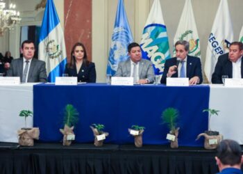 Guatemala y FAO fortalecen medios de vida de familias rurales en el país