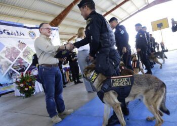 Se concluye instrucción a agentes caninos y conforman binomios K-9