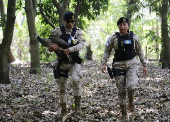 Mingob fortalece esfuerzos para la protección de la vida silvestre