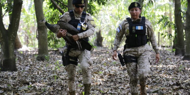 Mingob fortalece esfuerzos para la protección de la vida silvestre