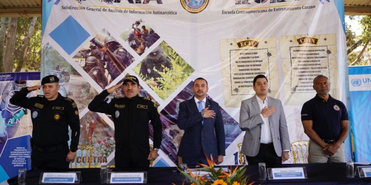 Curso antinarcótico busca identificar y destruir sustancias químicas