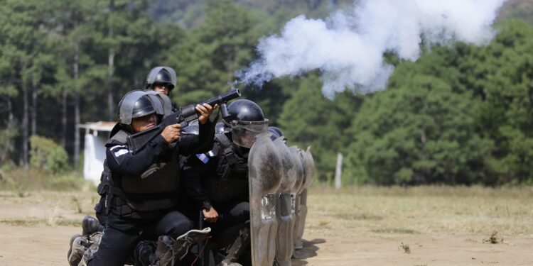 Agentes de fuerzas especiales refuerzan y actualizan protocolos de actuación