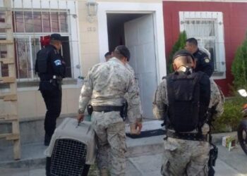 Rescatan una especie de la vida silvestre en Palencia