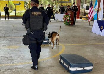 Guías K-9 fortalecen capacidades en detección de ilícitos