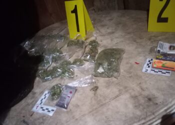 Allanan vivienda que funcionaba como centro de distribución de droga al menudeo