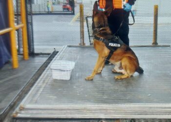 Incautan cocaína en encomienda con destinado a Estados Unidos