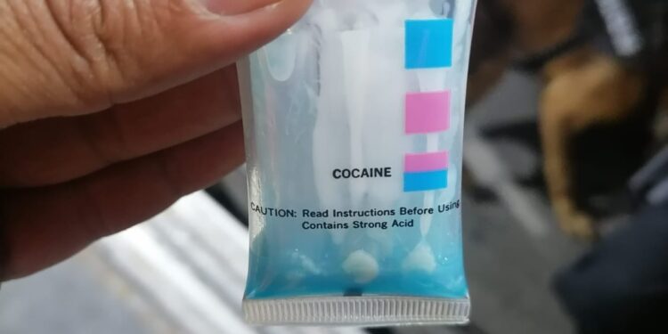 Incautan cocaína en encomienda con destinado a Estados Unidos