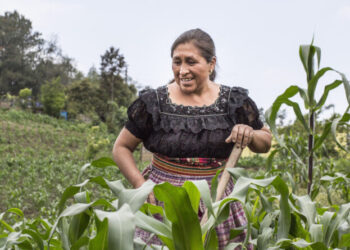 Conasan aprueba Plan para la Atención del Hambre Estacional 2023