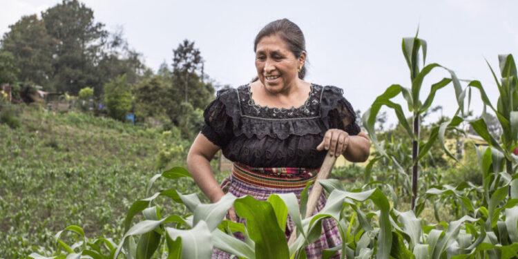 Conasan aprueba Plan para la Atención del Hambre Estacional 2023