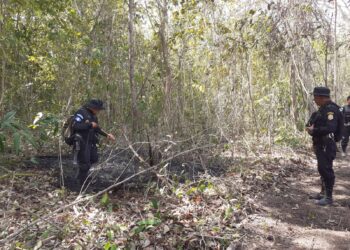 Personal de Diprona apoya en el combate de incendios forestales en Petén