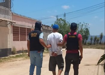 Alias “Gato” es detenido por tener matas de marihuana y un arma de fuego ilegal