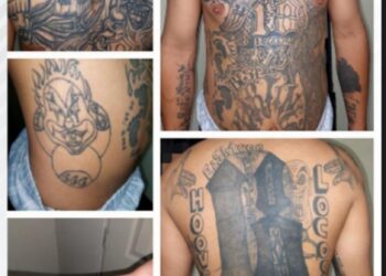 Intensifican labor investigativa contra pandilleros salvadoreños