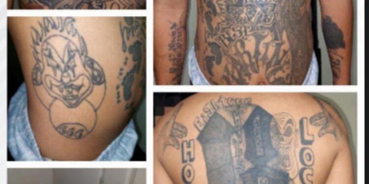 Intensifican labor investigativa contra pandilleros salvadoreños
