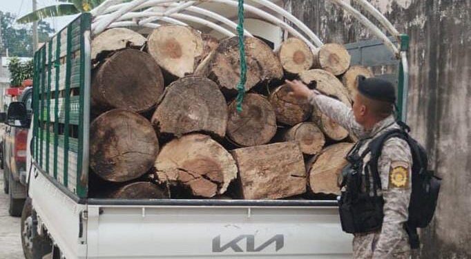 Diprona captura una persona por transportar ilícitamente producto forestal