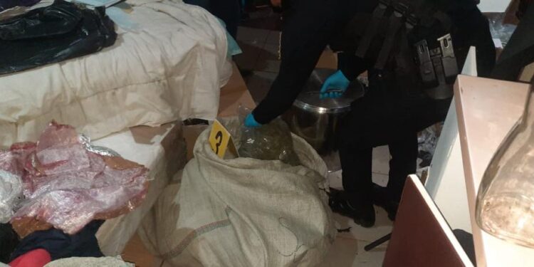 Fuerzas de seguridad localizan ilícitos en vivienda