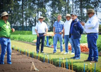 Agricultores nacionales y extranjeros promueven mejoras en la producción de semillas