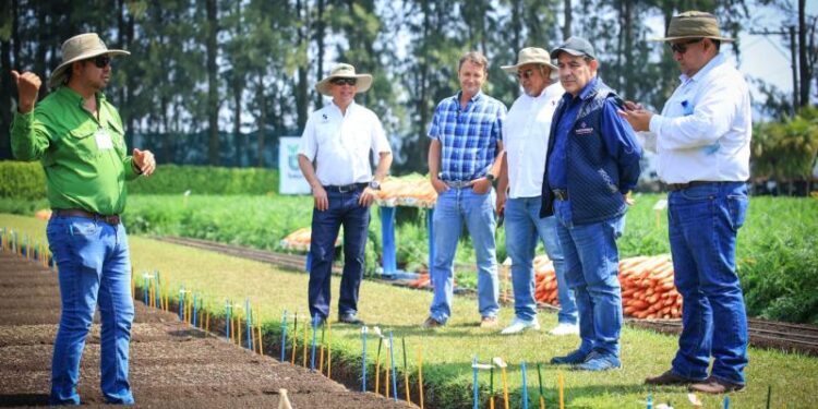 Agricultores nacionales y extranjeros promueven mejoras en la producción de semillas